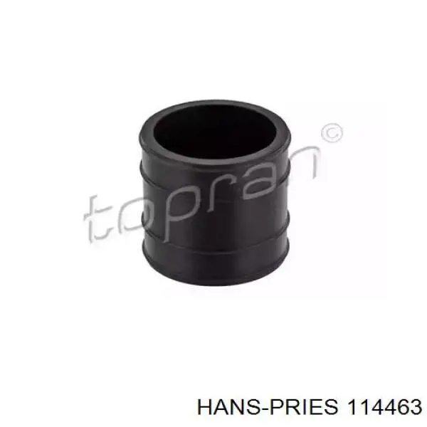  114463 Hans Pries (Topran)