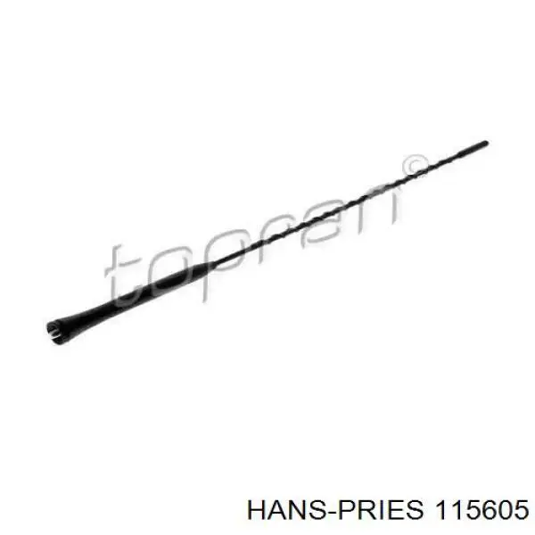 115605 Hans Pries (Topran) haste de antena