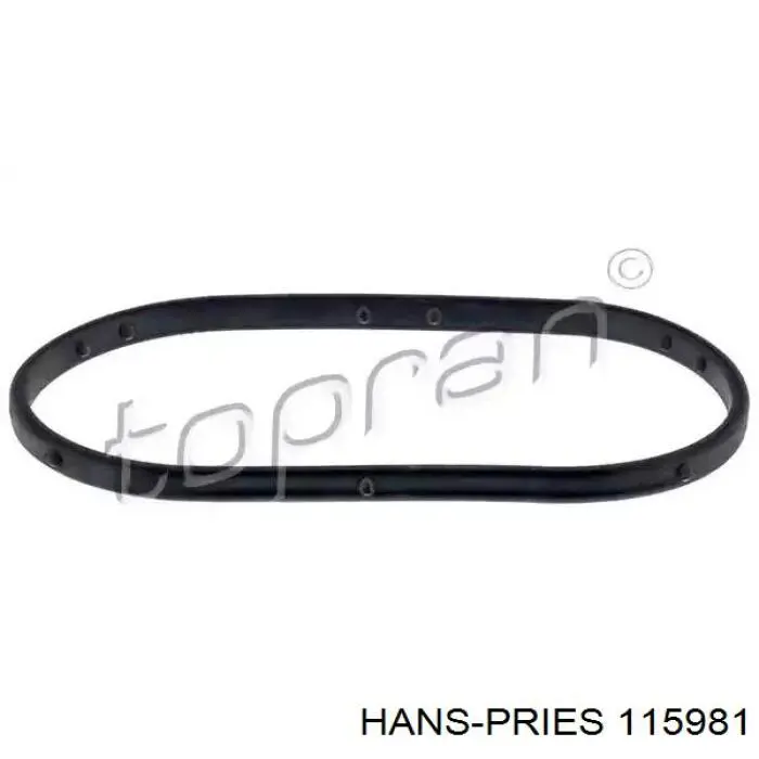  115981 Hans Pries (Topran)