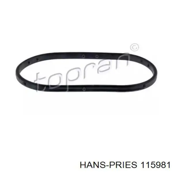 Купить 115981 Hans Pries (Topran) 