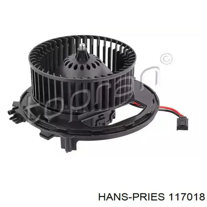 117018 Hans Pries (Topran) motor de ventilador de forno (de aquecedor de salão)