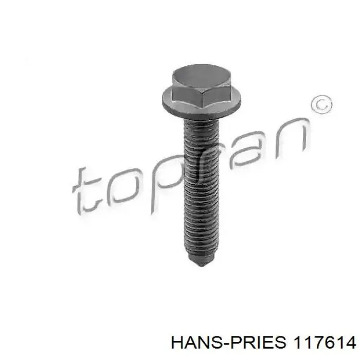 117614 Hans Pries (Topran) Комплект ремня ГРМ