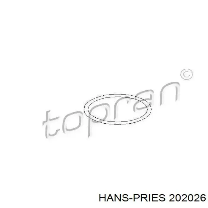 Распределитель зажигания (трамблер) Hans Pries (Topran) 202026