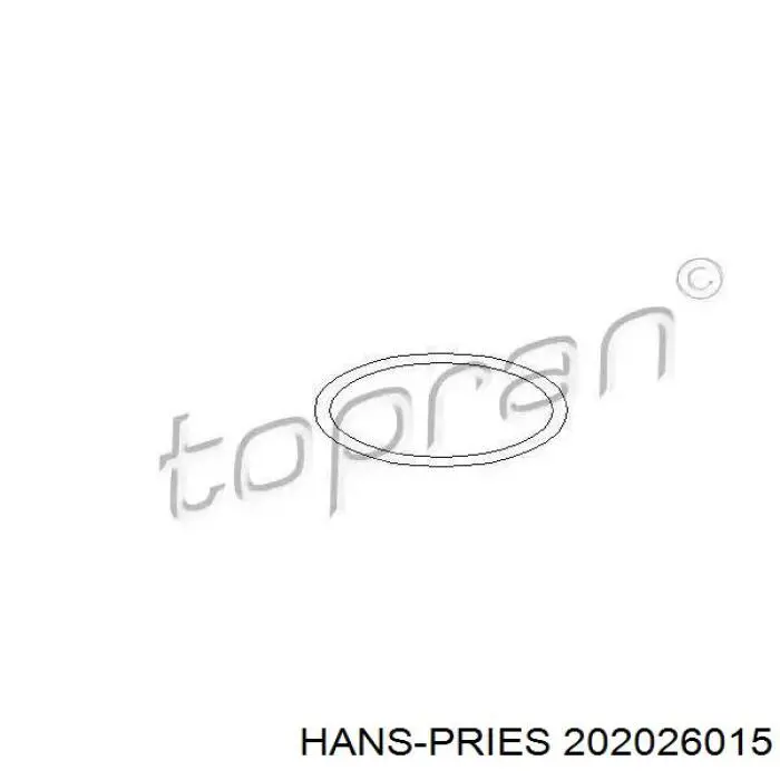 Распределитель зажигания (трамблер) Hans Pries (Topran) 202026015