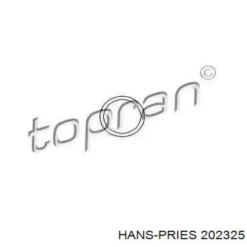 202325 Hans Pries (Topran) прокладка термостата