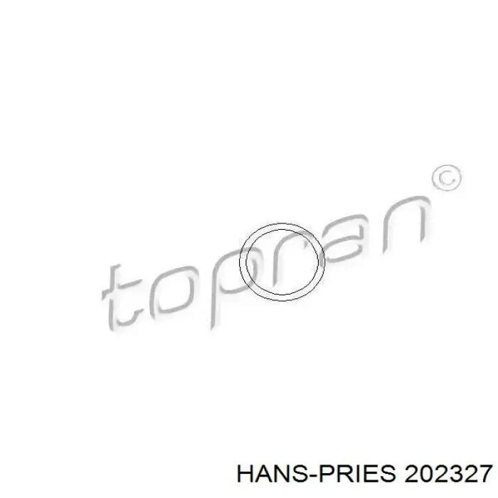 202327 Hans Pries (Topran) прокладка термостата