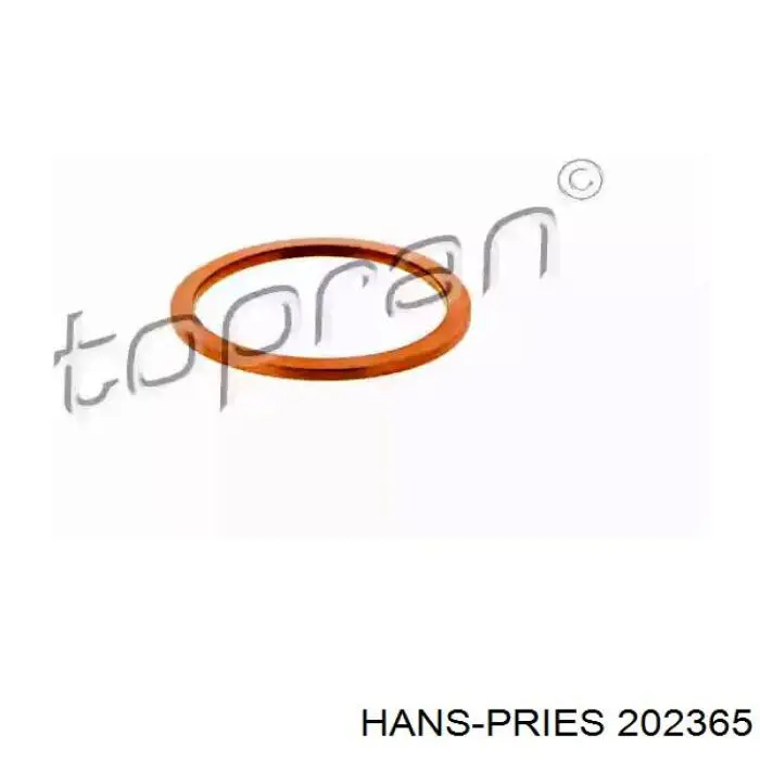 202365 Hans Pries (Topran) датчик температуры охлаждающей жидкости (включения вентилятора радиатора)