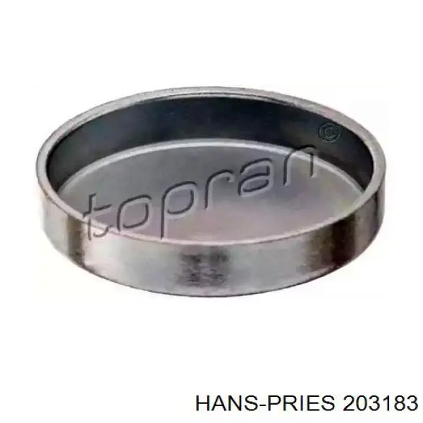 203183 Hans Pries (Topran) заглушка гбц/блока цилиндров