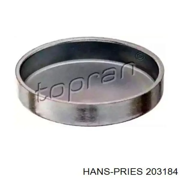 Заглушка ГБЦ 203184 Hans Pries (Topran)