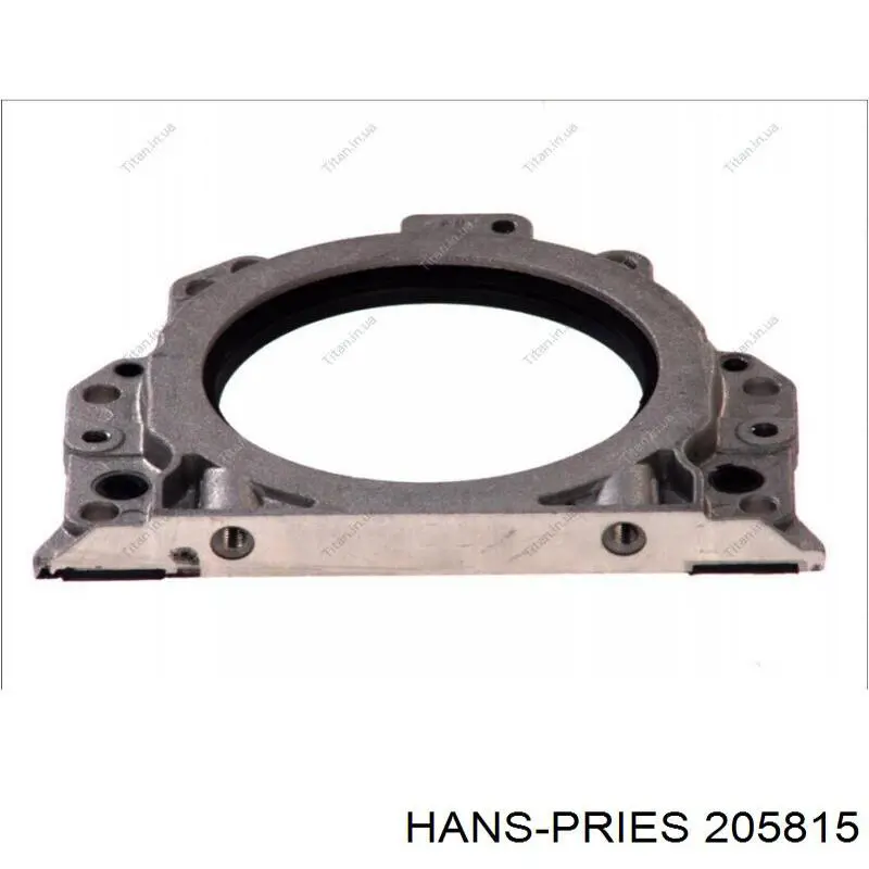 205815 Hans Pries (Topran) Ручка передней двери наружная, правая