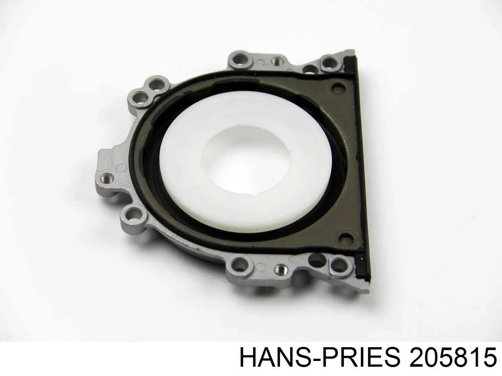 Купить 205815 Hans Pries (Topran) Ручка двери передней наружная правая