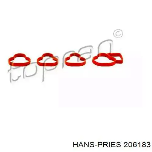 Прокладка впускного коллектора HANS PRIES 206183