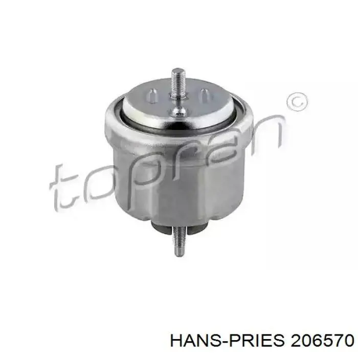 206570 Hans Pries (Topran) coxim (suporte direito de motor)