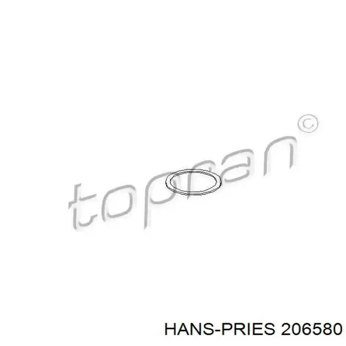 206580 Hans Pries (Topran) кольцо (шайба форсунки инжектора посадочное)