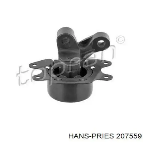 207559 Hans Pries (Topran)