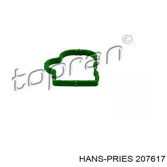 207617 Hans Pries (Topran) vedante de tubo coletor de admissão