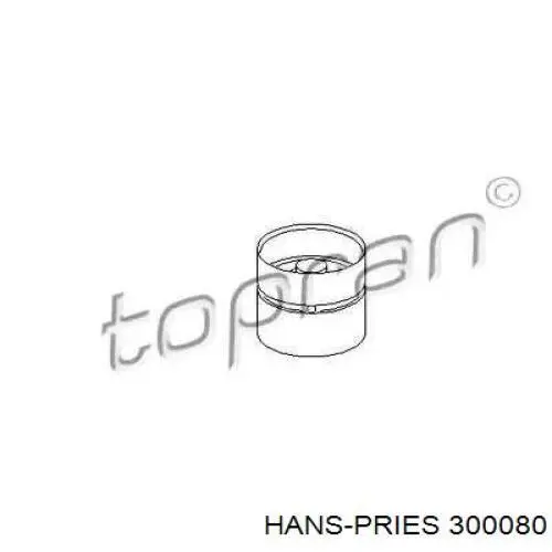 Гидрокомпенсатор 300080 Hans Pries (Topran)