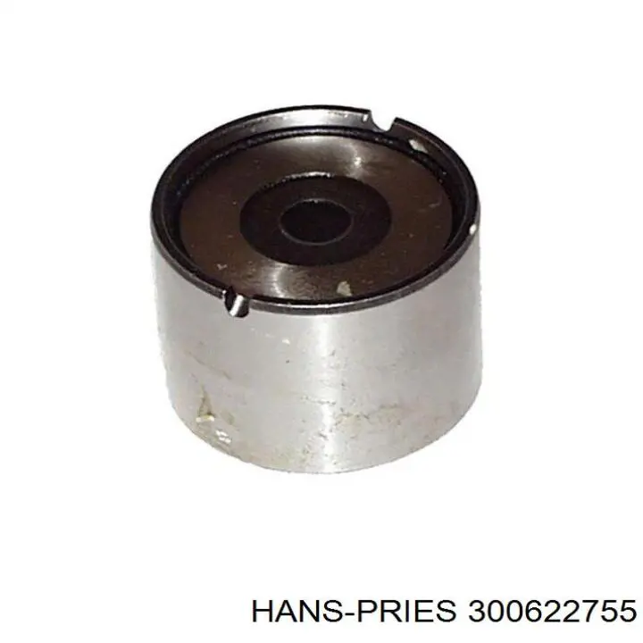 Compensador hidrâulico (empurrador hidrâulico), empurrador de válvulas 300622755 Hans Pries (Topran)