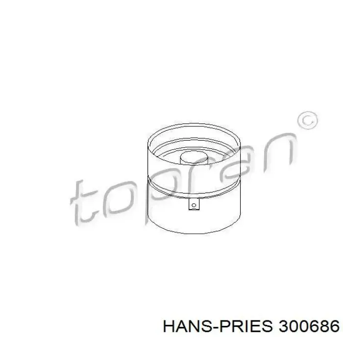 300686 Hans Pries (Topran)