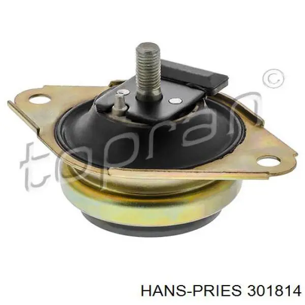 Soporte, motor izquierdo, trasero 301814 Hans Pries (Topran)