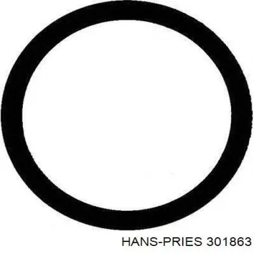 Прокладка коллектора выпускного Hans Pries (Topran) 301863 цена, от 6.44 USD