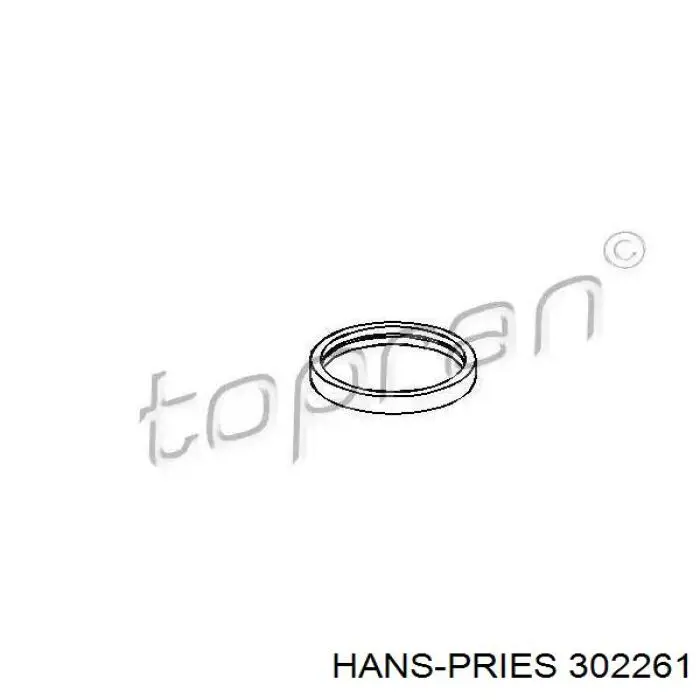 302261 Hans Pries (Topran) прокладка термостата