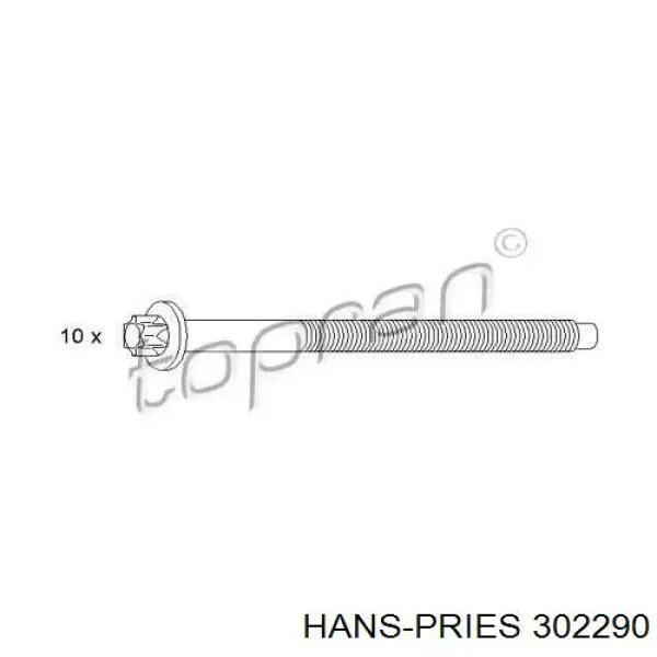 Болт ГБЦ 302290 Hans Pries (Topran)