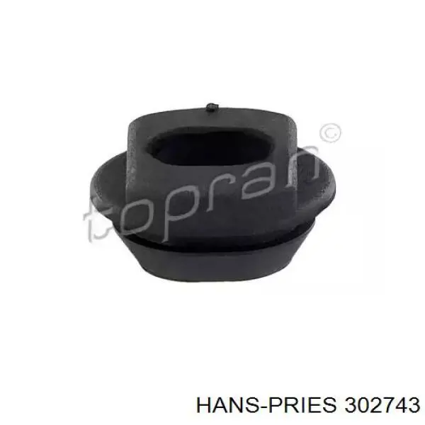 302743 Hans Pries (Topran)