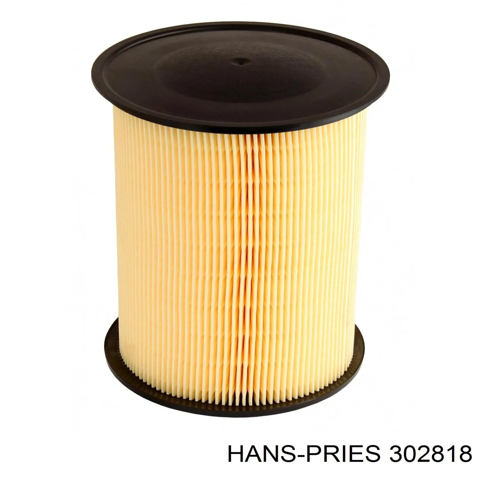 Воздушный фильтр 302818 Hans Pries (Topran)