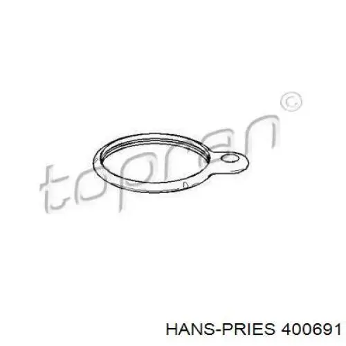 Прокладка термостата 400691 Hans Pries (Topran)