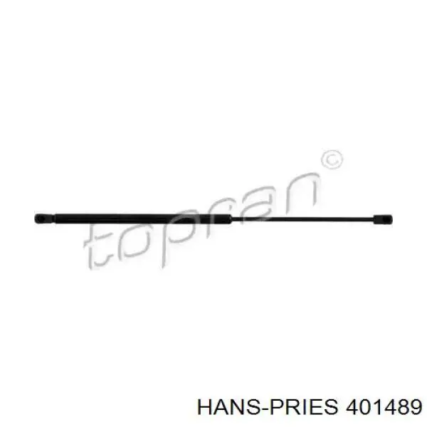 Амортизатор багажника 401489 Hans Pries (Topran)