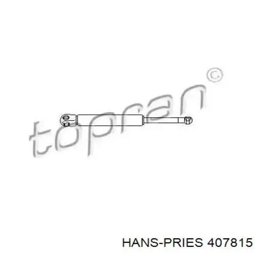 407815 Hans Pries (Topran) амортизатор капота