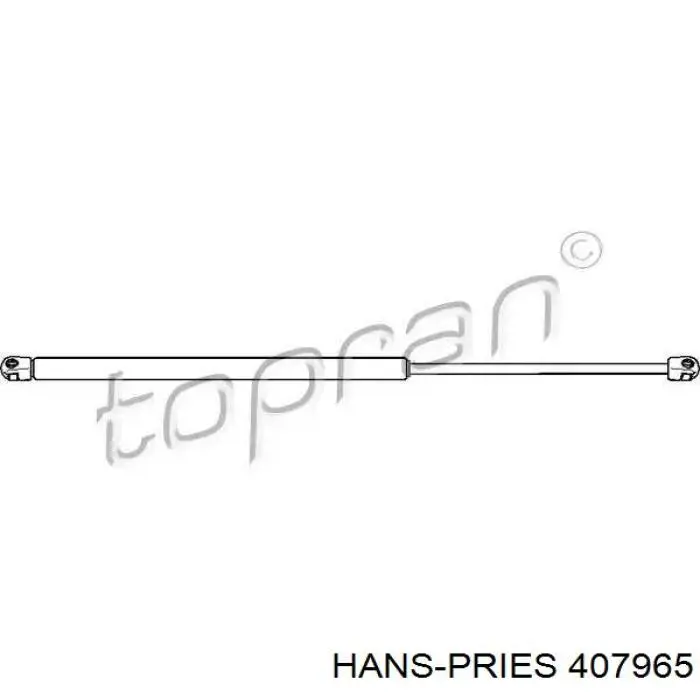 Амортизатор багажника 407965 Hans Pries (Topran)