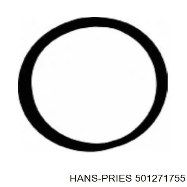 Прокладка впускного коллектора HANS PRIES 501271755
