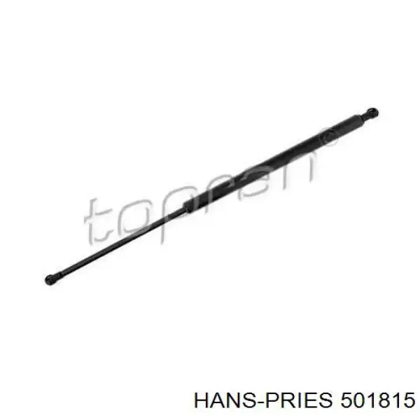 501815 Hans Pries (Topran) Амортизатор крышки багажника