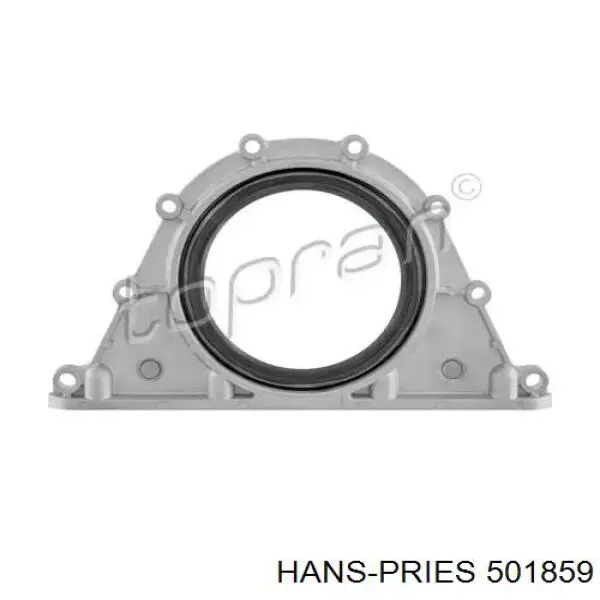 Сальник коленвала двигателя задний 501859 Hans Pries (Topran)