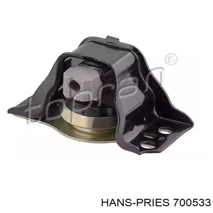 700533 Hans Pries (Topran) coxim (suporte direito de motor)