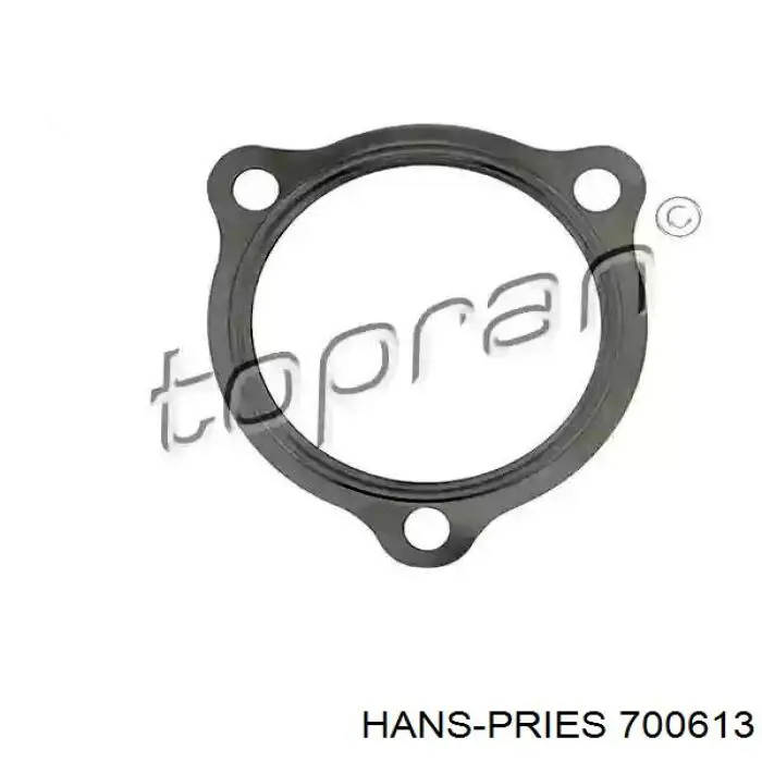 Compre 700613 Hans Pries (Topran) Vedante de tubo de admissão do silenciador