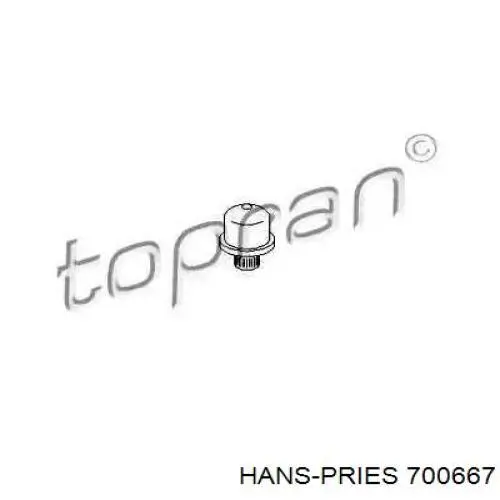 Втулка оси вилки сцепления 700667 Hans Pries (Topran)