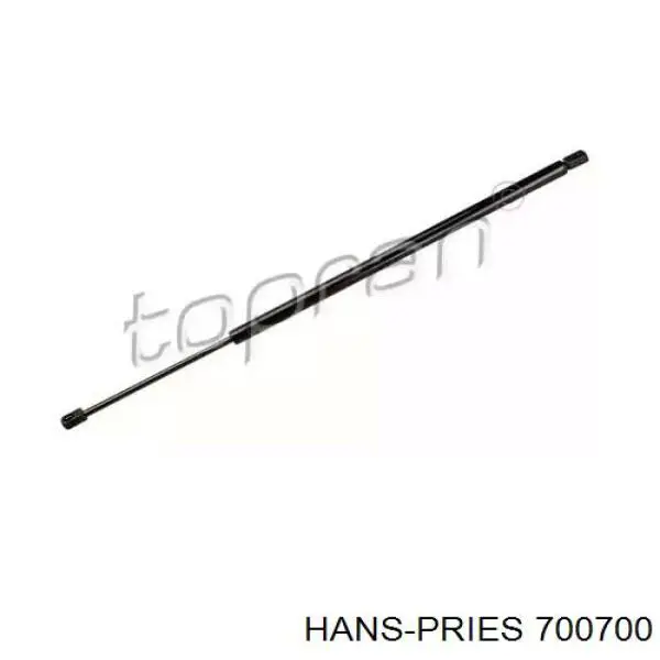 700700 Hans Pries (Topran) Амортизатор крышки багажника