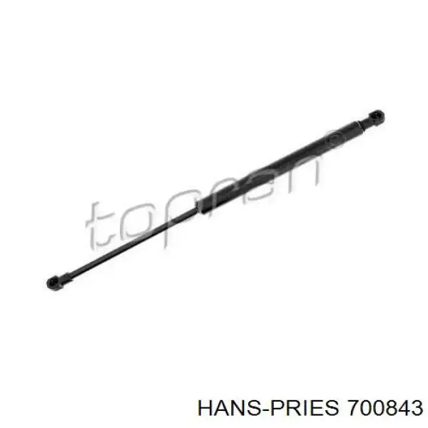 700843 Hans Pries (Topran) Амортизатор крышки багажника