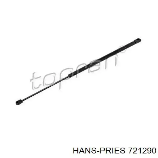 GS0133 Magneti Marelli Амортизатор крышки багажника
