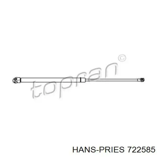 722585 Hans Pries (Topran) Амортизатор крышки багажника