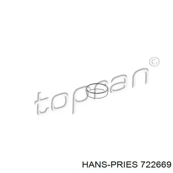 Заглушка ГБЦ 722669 Hans Pries (Topran)