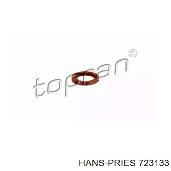 723133 Hans Pries (Topran) прокладка шланга подачи масла к турбине