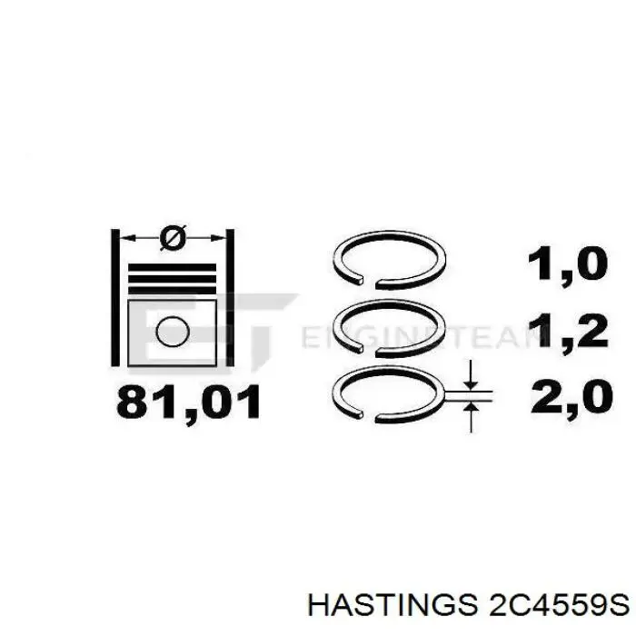 2C4559S Hastings Поршневые кольца на 1 цилиндр, STD