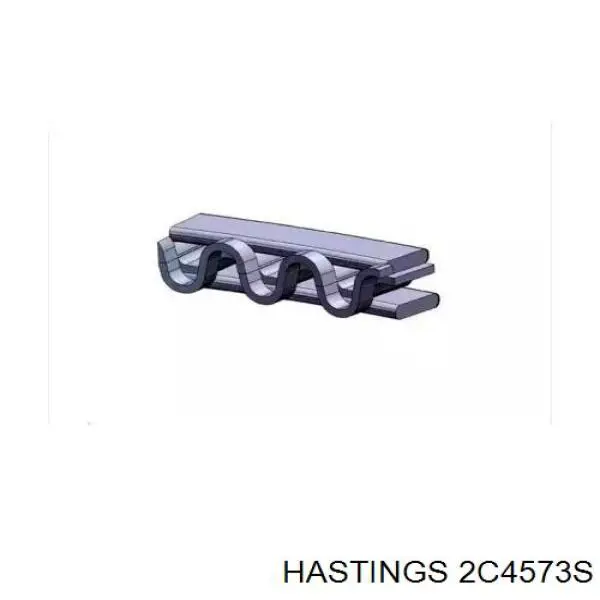 2C4573S Hastings anéis do pistão para 1 cilindro, std.