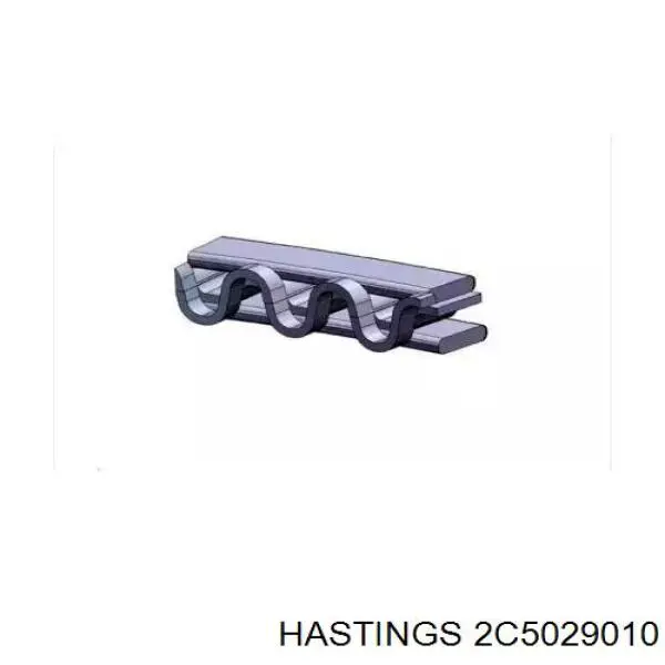 Кольца поршневые на 1 цилиндр, 1-й ремонт (+0,25) Hastings 2C5029010 цена, от 10.25 USD