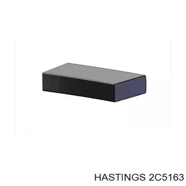 2C5163 Hastings anéis do pistão para 1 cilindro, std.