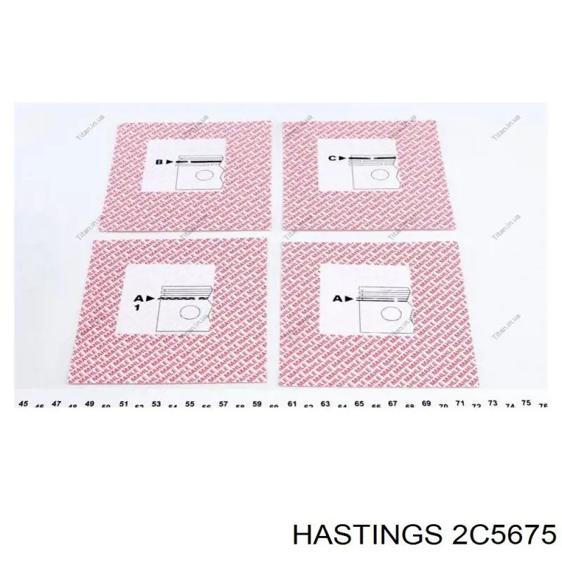 2C5675 Hastings Поршневые кольца на 1 цилиндр, STD